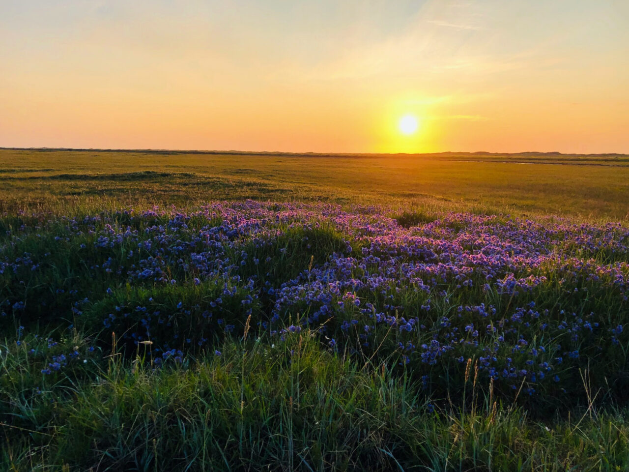 Arctic Refuge Drilling Failed Again — But the Fight Isn’t Over