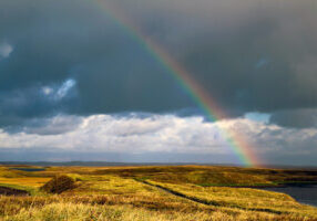 A rainbow arcs over the September grasses at Izembek National Wildlife Refuge.