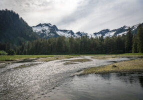 Tongass - Photo Credit Dave Shreffler