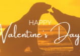 Red White Modern Happy Valentine's Day Greeting Facebook Fundraiser Cover Photo (1)