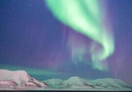 pexels-noel-bauza-390169175-14732200 pexels-noel-bauza-390169175-14732200